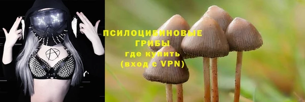 первитин Нязепетровск