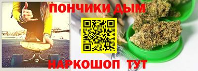 индика Гусев