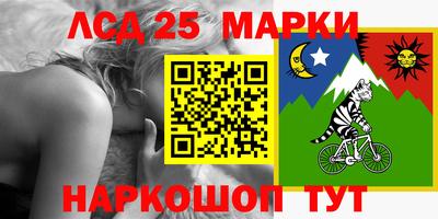 индика Гусев