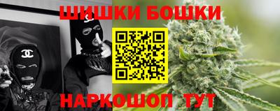 индика Гусев
