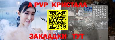индика Гусев