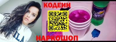 индика Гусев
