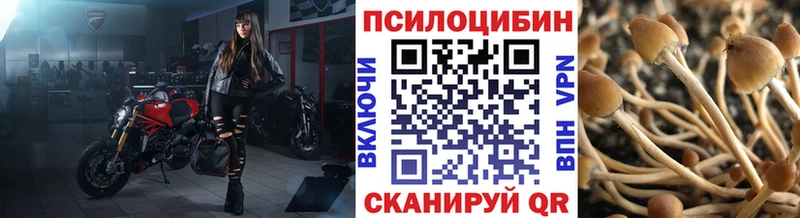 Псилоцибиновые грибы мицелий  хочу наркоту  Алапаевск 
