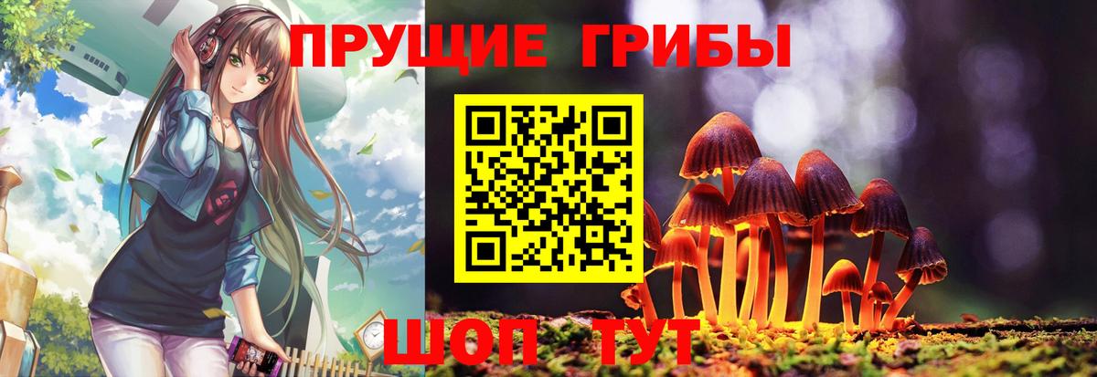 Галлюциногенные грибы Cubensis Алапаевск