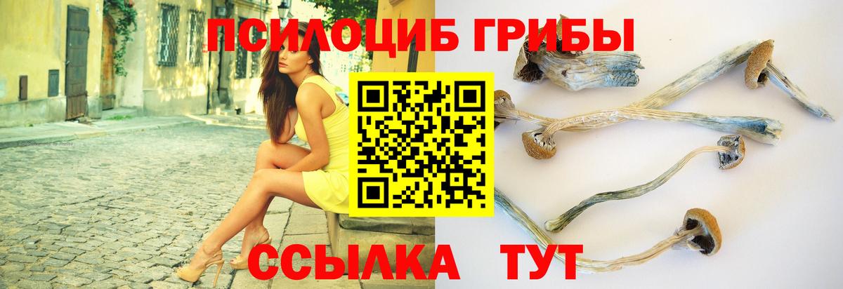 Галлюциногенные грибы Psilocybe  Вход с VPN  Псилоцибиновые грибы GOLDEN TEACHER  Алапаевск 